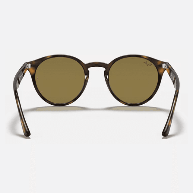 Round Tortoise - foto 6